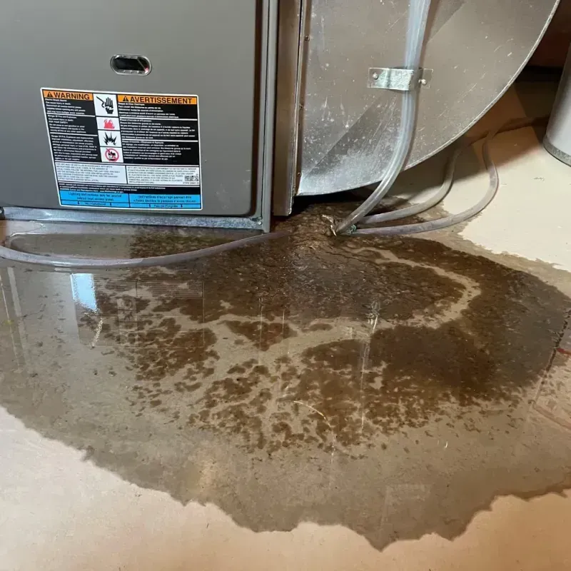 Appliance Leak Cleanup in Irwin, SC